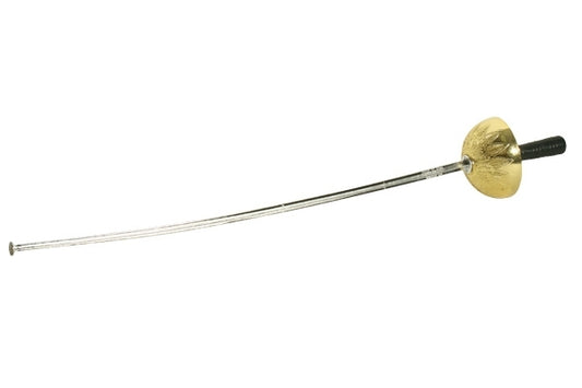 Fencing Sword