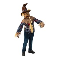 ONLINE ONLY:  Scarecrow Kid's Costume